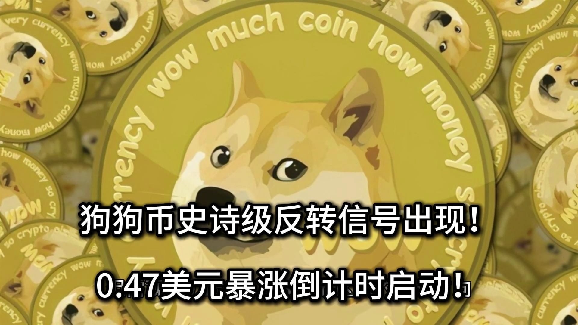 狗狗币冲破314美元关口，大涨阶段是否已经到来？-Pinnacle体育